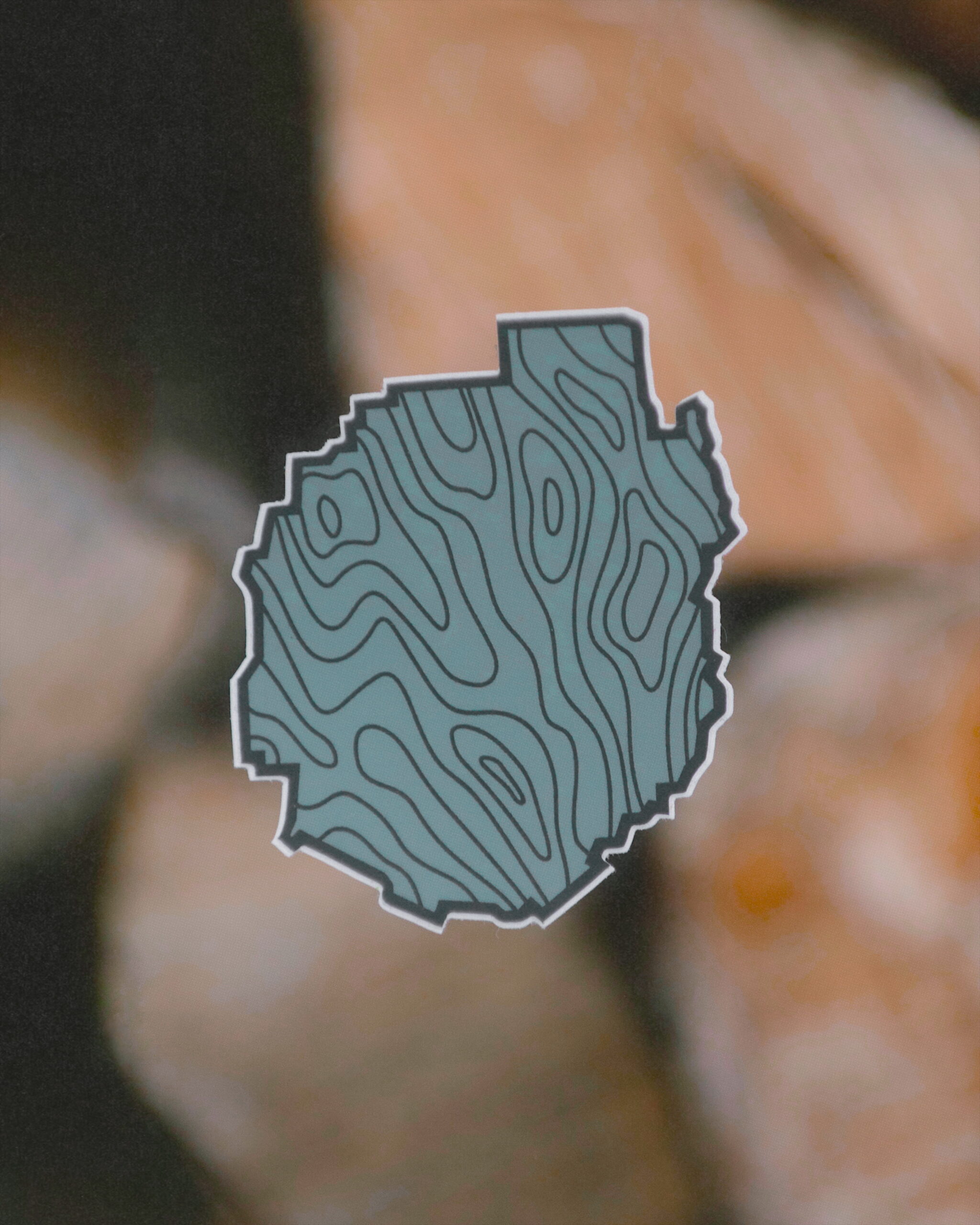 Adirondack Park Topo Map Sticker