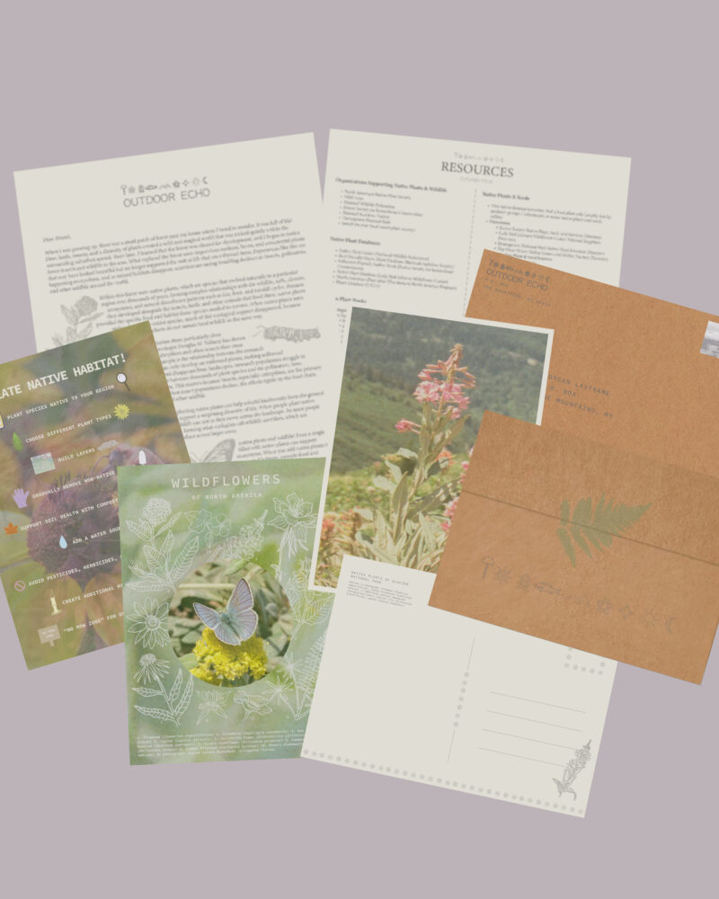 Native Plant Snail Mail