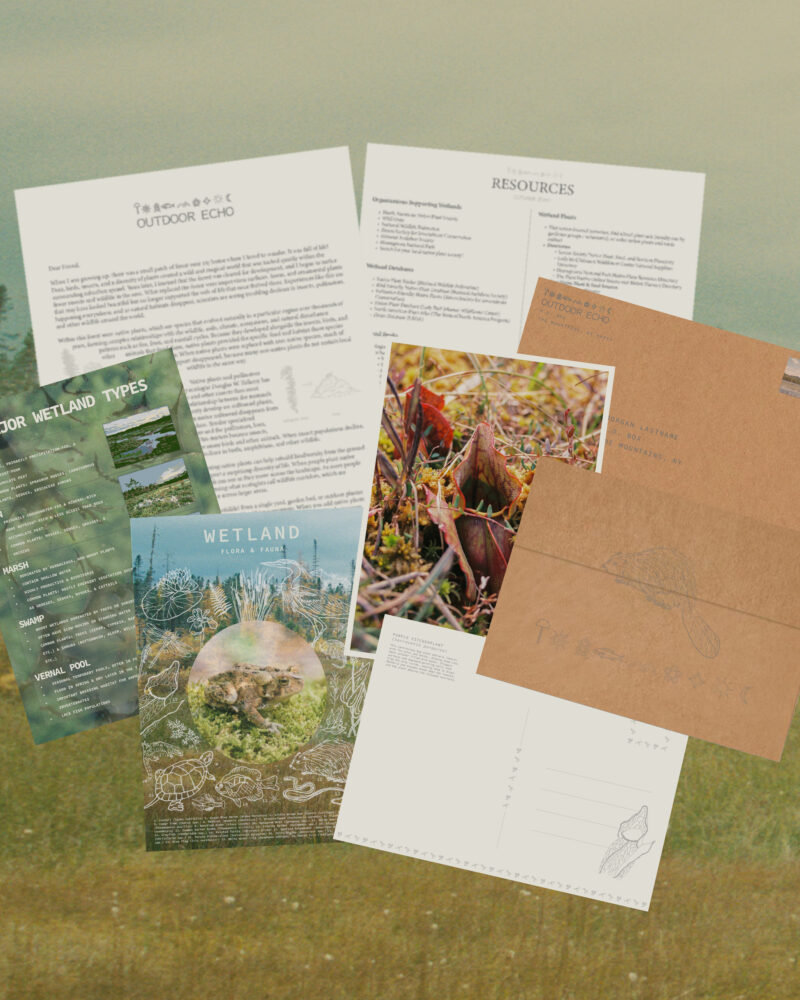 Wetlands Snail Mail