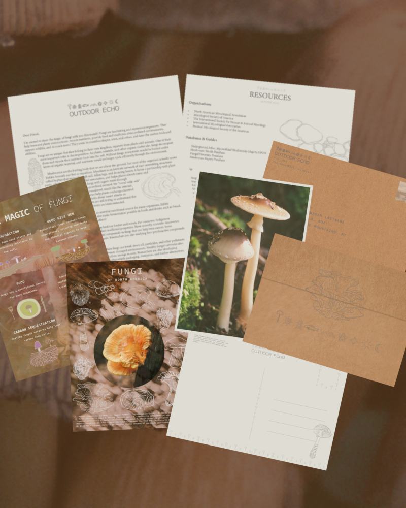 Fungi Snail Mail